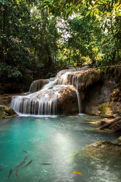 Free Amazing waterfall flowing into pond in jungle on sunny day Stock Photo